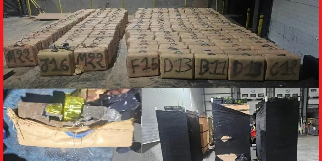 ميناء طنجة.. إحباط محاولة تهريب أكثر من 7 أطنان من الحشيش