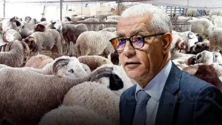 دعم “الفراقشية”..مجلس النواب ينهي “بلوكاج” تشكيل المهمة الاستطلاعية