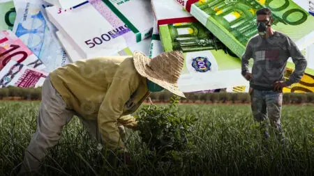 المغرب يقترض 100 مليون اورو لدعم الفلاحة التضامنية