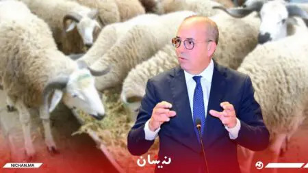 تحذيرات من انتشار “مرض فيروسي” يصيب القطيع بإقليم تازة