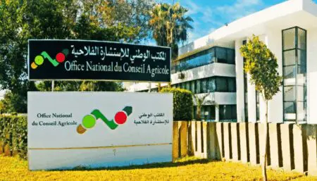 فشل الحوار يدفع شغيلة الاستشارة الفلاحية إلى وقفة إنذارية بكلميم
