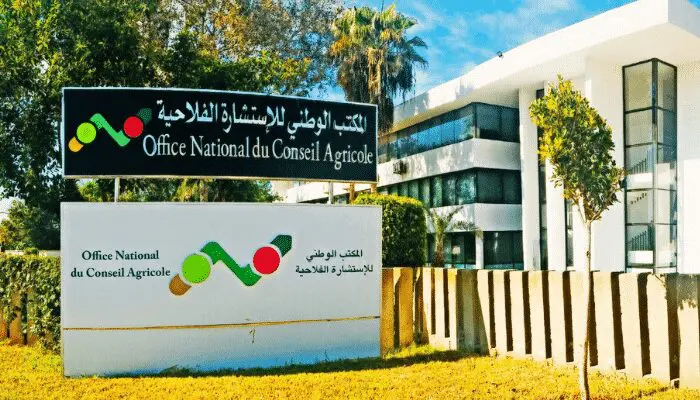 فشل الحوار يدفع شغيلة الاستشارة الفلاحية إلى وقفة إنذارية بكلميم