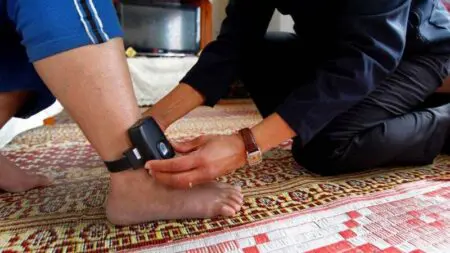 هذه تفاصيل دليل “رئاسة النيابة العامة” لتطبيق العقوبات البديلة
