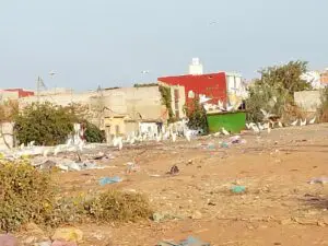 حاوية أزبال ضخمة وسط حي سكني تتحول إلى مرتع للطيور، في مشهد يسيء لصورة الجماعة ويعكس غياب أبسط شروط التدبير والنظافة.
