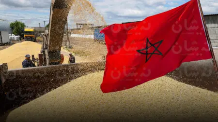 هل يعيد المغرب رسم خريطة وارداته من الحبوب؟