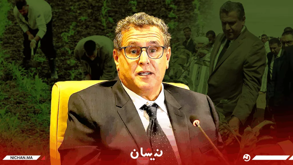 المطر يعري “المغرب الأخضر”.. طفرة الحبوب تفضح التبعية الهيكلية (تحليل إخباري)