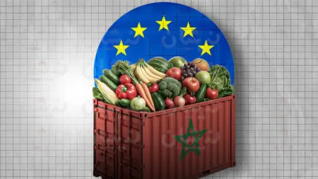 أطلس.. خط بحري جديد يسرّع صادرات المغرب الفلاحية إلى أوروبا