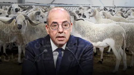 بعد أرقام وزارة الفلاحة..مهنيون يحذرون من فشل برنامج إعادة تشكيل القطيع