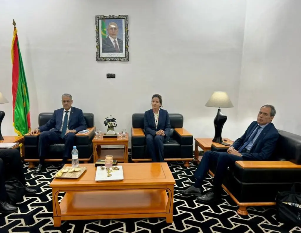 الربط الكهربائي محور لقاء بين وزيري الطاقة بالمغرب وموريتانيا