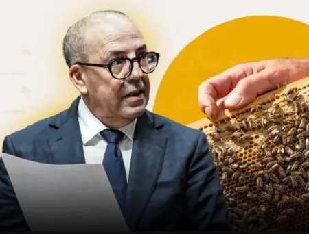 التغير المناخي يهدد قطاع النحل بالمغرب ويعمق خسائر المربين