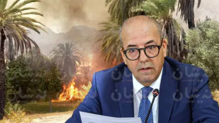 “حرائق تكسلت” تجدد المطالب باطلاق خطة وطنية لحماية الواحات