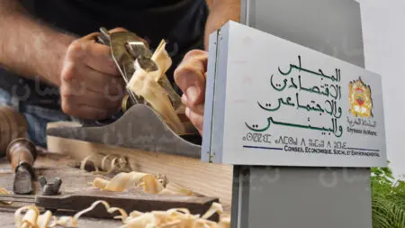 المجلس الاقتصادي يدعو لإصلاح شامل لدعم المقاولات الصغيرة