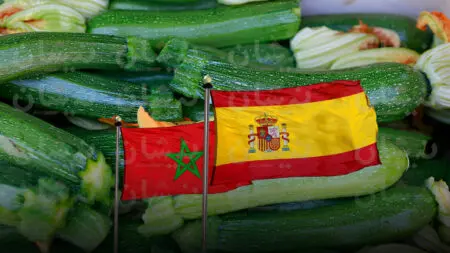 إسبانيا دفعت أزيد من 10 ملايير للمغرب مقابل استيراد القرع الأخضر