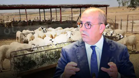 نفوق غامض للأغنام يثير قلق الكسابين بإقليم الحوز