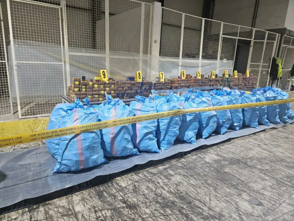 ميناء طنجة: حجز 8 أطنان من الحشيش ضمن شاحنة للبضائع