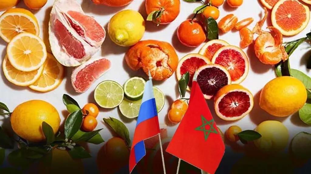 ارتفاع صادرات المغرب من الكلمنتين إلى روسيا بنسبة 74%