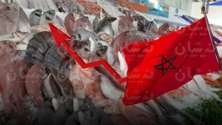 الغلاء يحرم المغاربة من ثروات بحرية ضخمة