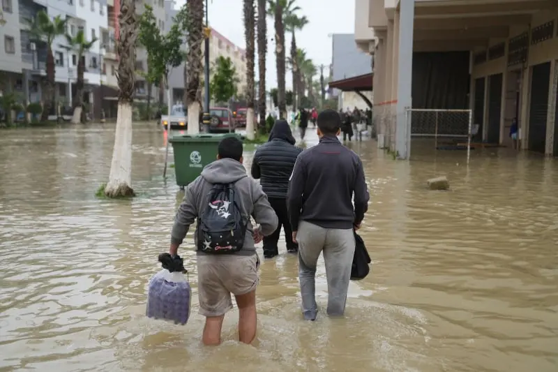 اضغط على الصورة لرؤيتها بالحجم الطبيعي