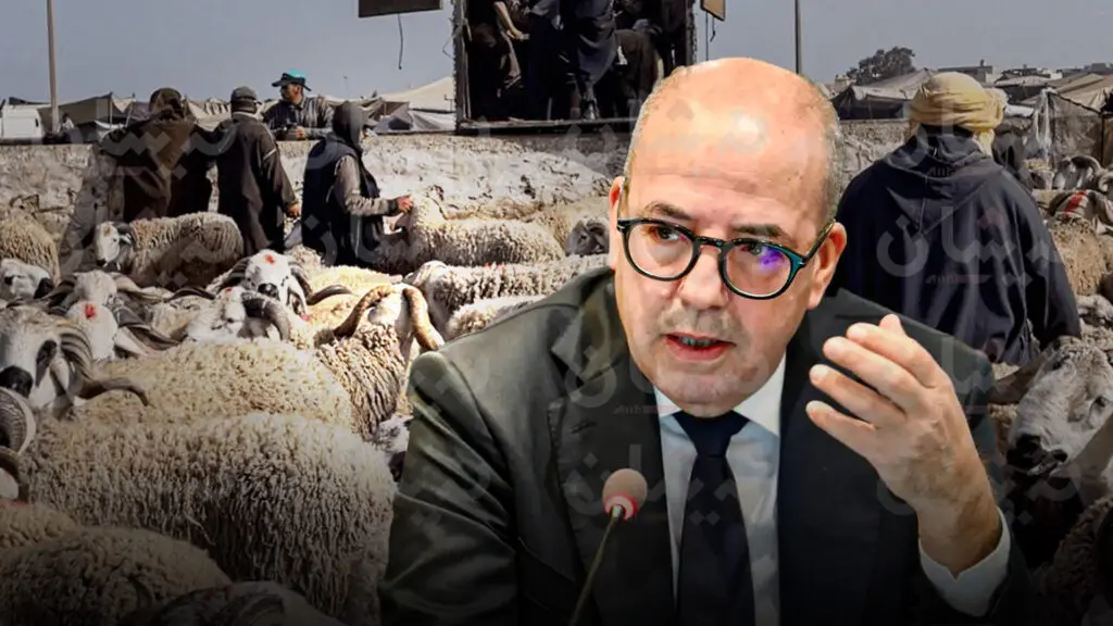 شبح الإفلاس يطارد كسابة بـ “أزيلال” وسط مطالب بتدخل وزارة الفلاحة
