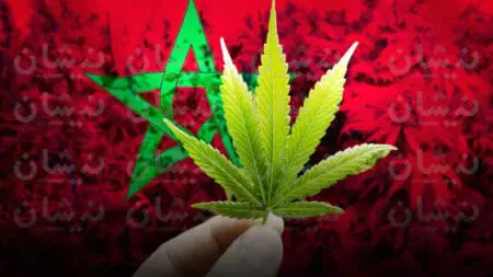 4 آلاف رخصة جديدة لزراعة “الكيف” بالمغرب