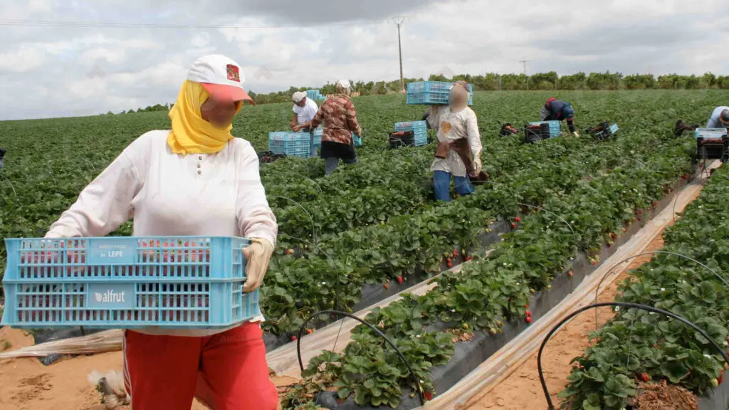 واشنطن تخصص 226 مليون دولار لتطوير الفلاحة بالمغرب ودول شريكة