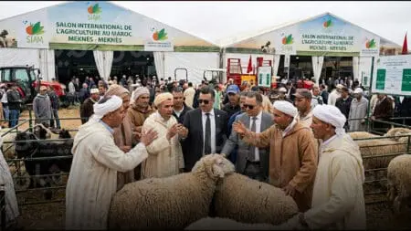 “من يعرف هوية الشناق والفراقشي؟”