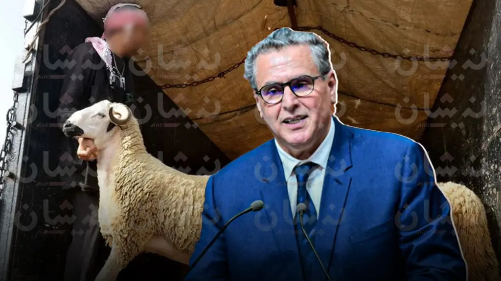 أخنوش يحمل “الكسابة” مسؤولية التصدي للشناقة وتخفيض أسعار اللحوم