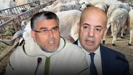 الرميد يدعو إلى استقالة وزير الفلاحة بعد “فوضى” أسعار الأضاحي