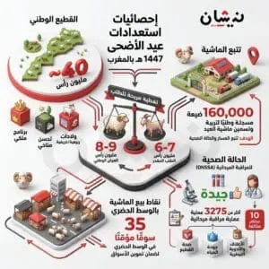 إحصائيات عيد الأضحى.. وفرة الأسواق تسائل غلاء الأسعار