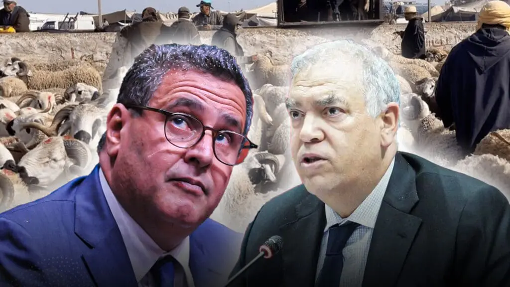 عشية لعيد لكبير.. “مجزرة الأسعار” تفضح وعود أخنوش وتسائل “أجهزة لفتيت”