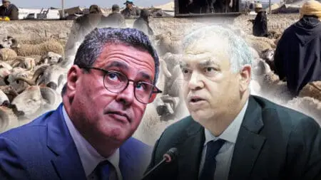 عشية لعيد لكبير.. “مجزرة الأسعار” تفضح وعود أخنوش وتسائل “أجهزة لفتيت”