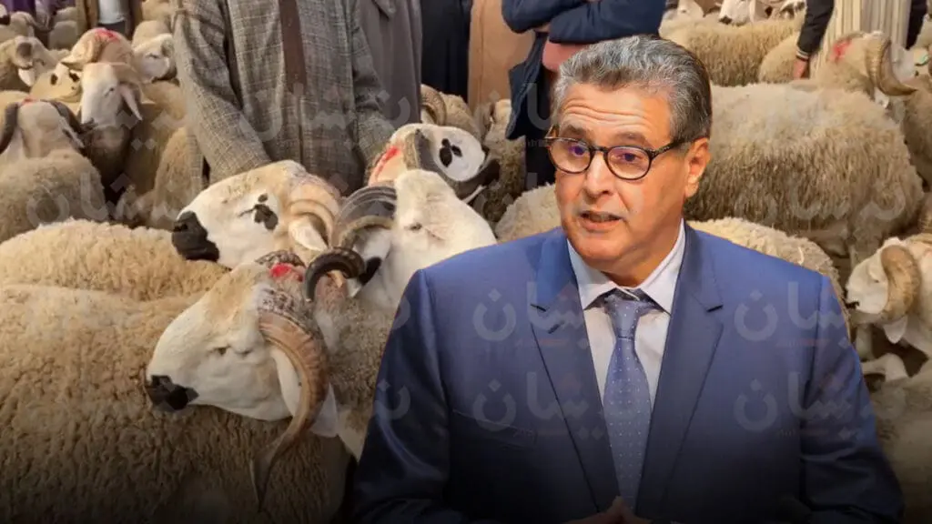 الحكومة تستنفر العمال لضبط أسواق الأضاحي والقرار بالجريدة الرسمية