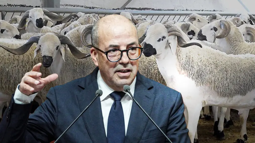 الأحرار يدفع بوزير الفلاحة لخوض الانتخابات رغم فضيحة عيد الأضحى