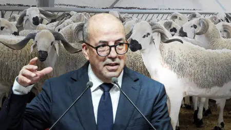 الأحرار يدفع بوزير الفلاحة لخوض الانتخابات رغم فضيحة عيد الأضحى