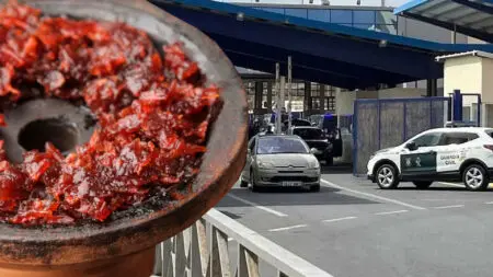 بسيارة دبلوماسية… محاولة تهريب نصف طن من “المعسل” نحو المغرب
