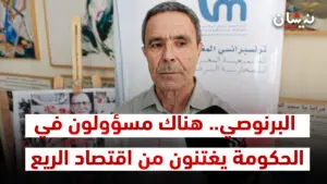 البرنوصي.. هناك مسؤولون في الحكومة يغتنون من اقتصاد الريع