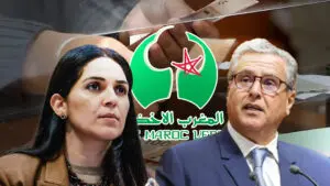 أرقام “الدعم الاجتماعي” تطارد “حصيلة أخنوش” في العالم القروي