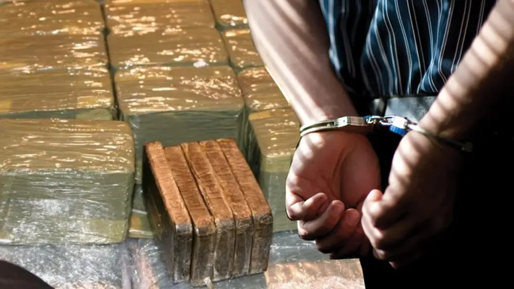 شقيق يطيح بأخيه تاجر المخدرات داخل منزل الأسرة