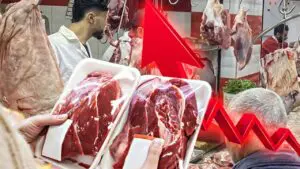 إنفلات في أسعار اللحوم بعد العيد والكيلو سيتجاوز 170 درهم