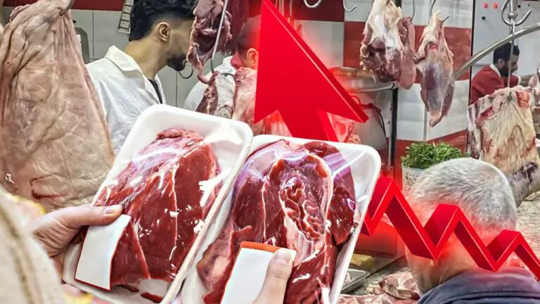 إنفلات في أسعار اللحوم بعد العيد والكيلو سيتجاوز 170 درهم