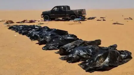 مصرع 49 شخصا عطشا في صحراء النيجر بعد عطل في شاحنة