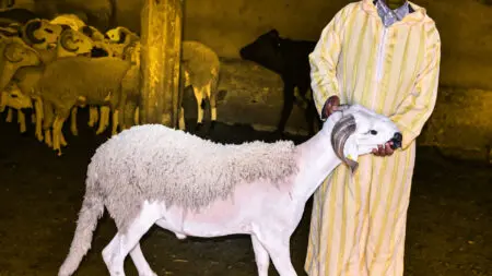 دعوات للتحقيق في أسباب تأخر صرف إعانات الكسابين