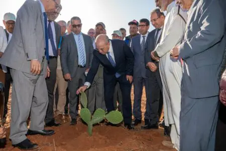 تقييم “الجيل الأخضر” يعيد فتح ملف اختلالات السياسة الفلاحية