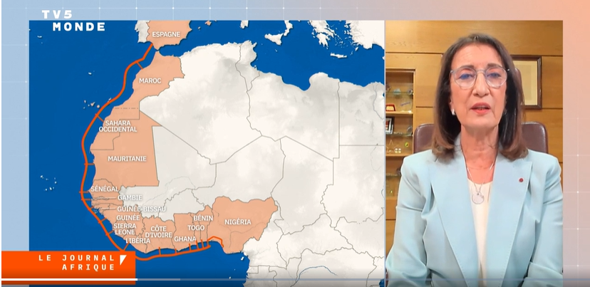 لقطة شاشة من مقابلة أمينة بنخضرة مع قناة "TV5 Monde" الفرنسية، وتظهر إلى جانبها خريطة للمغرب مبتورة من أقاليمه الجنوبية. 