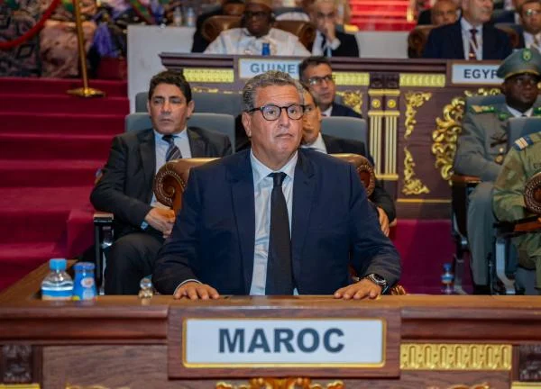 وكالة مقربة من أخنوش تخوض حملة لترويج القنب الهندي المغربي في أوربا