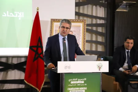 شركة محظوظة تحتكر صفقات المعارض لوكالة المهدي الريفي